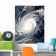 Typhoon Sudal South Japan Wall Decal Design 1