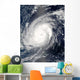 Typhoon Sudal South Japan Wall Decal Design 1