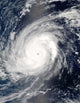 Typhoon Sudal South Japan Wall Decal Design 1