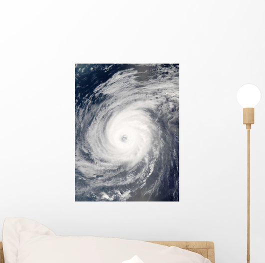 Typhoon Sudal South Japan Wall Decal Design 2