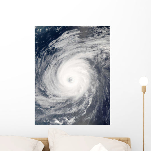Typhoon Sudal South Japan Wall Decal Design 2
