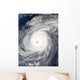 Typhoon Sudal South Japan Wall Decal Design 2