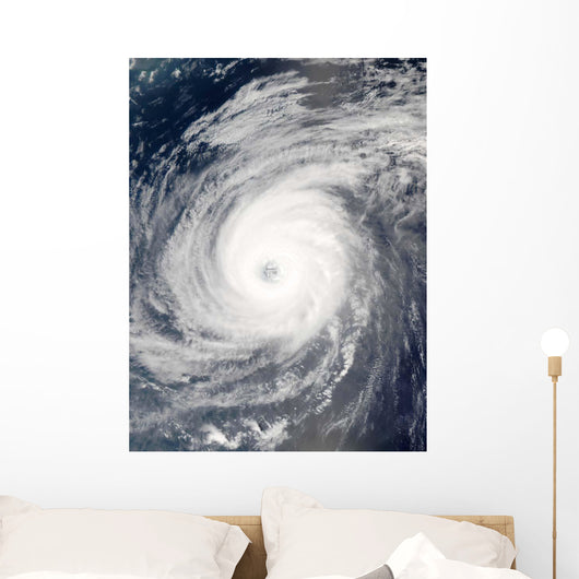 Typhoon Sudal South Japan Wall Decal Design 2