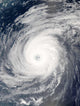 Typhoon Sudal South Japan Wall Decal Design 2