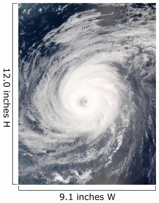 Typhoon Sudal South Japan Wall Decal Design 2