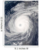 Typhoon Sudal South Japan Wall Decal Design 2
