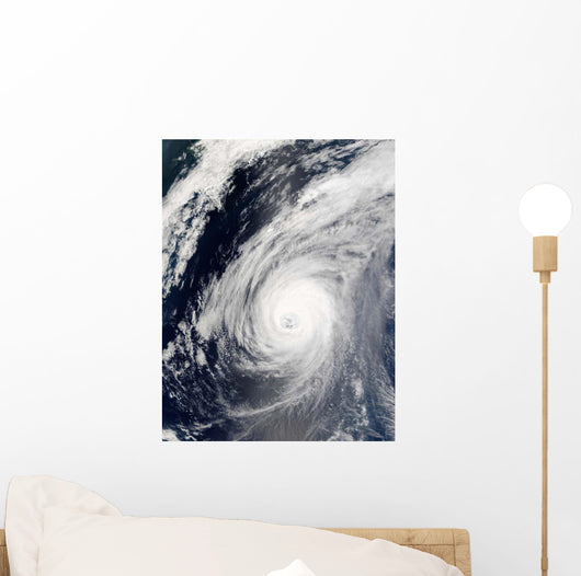 Typhoon Sudal South Japan Wall Decal Design 3