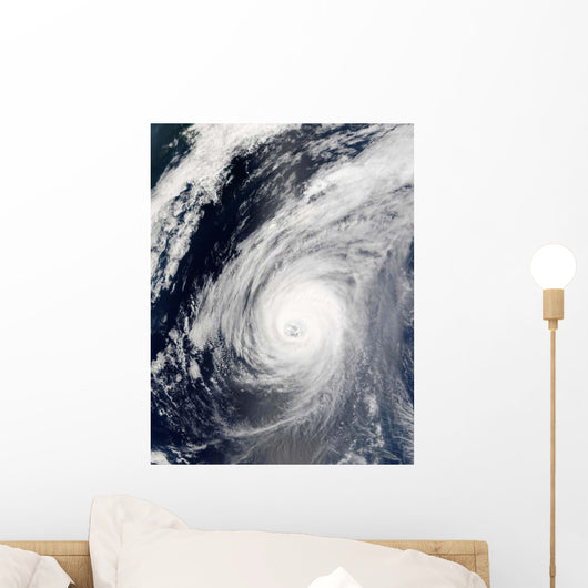 Typhoon Sudal South Japan Wall Decal Design 3