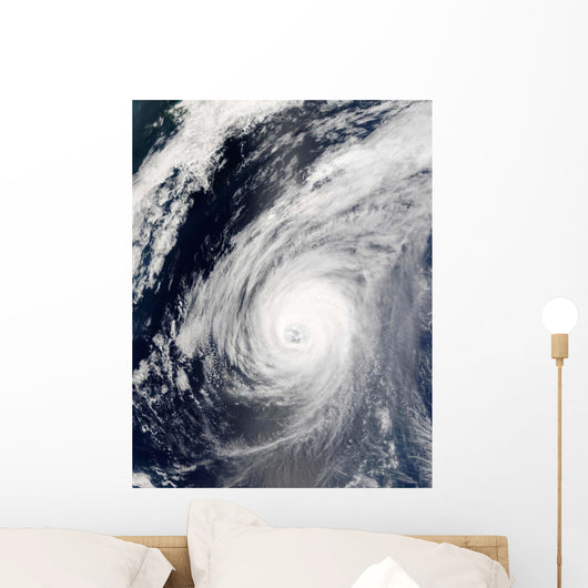 Typhoon Sudal South Japan Wall Decal Design 3
