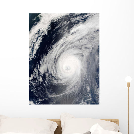 Typhoon Sudal South Japan Wall Decal Design 3