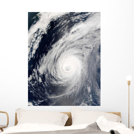 Typhoon Sudal South Japan Wall Decal Design 3