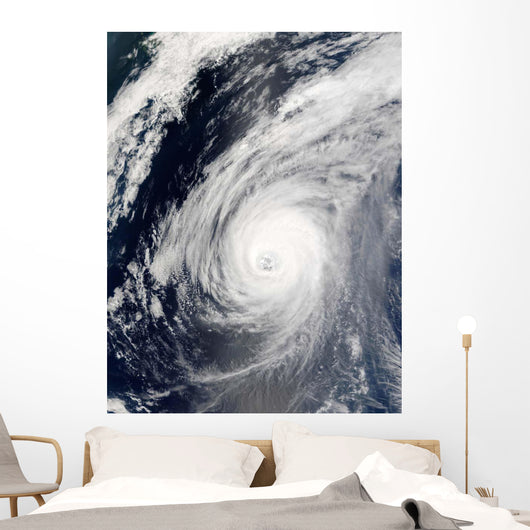 Typhoon Sudal South Japan Wall Decal Design 3