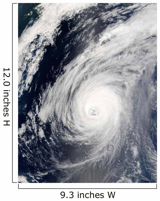 Typhoon Sudal South Japan Wall Decal Design 3