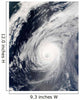 Typhoon Sudal South Japan Wall Decal Design 3