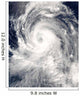Typhoon Tingting over Northern Wall Decal