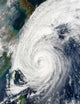 Typhoon Tokage South Japan Wall Decal