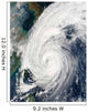 Typhoon Tokage South Japan Wall Decal