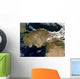 Satellite Turkey Wall Decal Design 1