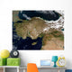 Satellite Turkey Wall Decal Design 1