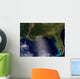 Satellite Southeastern United States Wall Decal