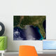 Satellite Southeastern United States Wall Decal