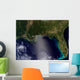 Satellite Southeastern United States Wall Decal