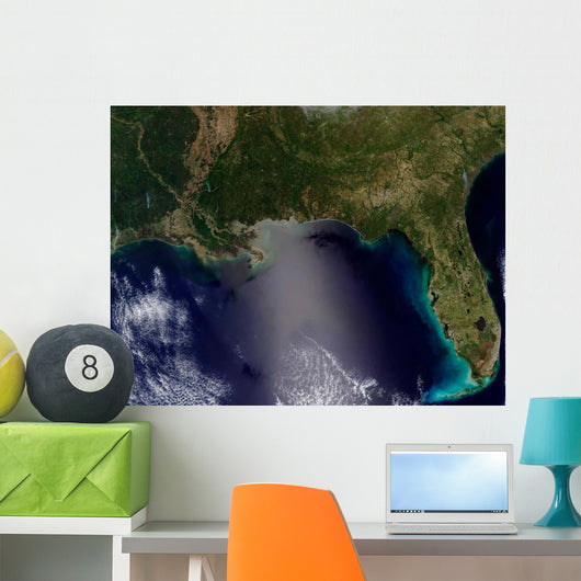 Satellite Southeastern United States Wall Decal