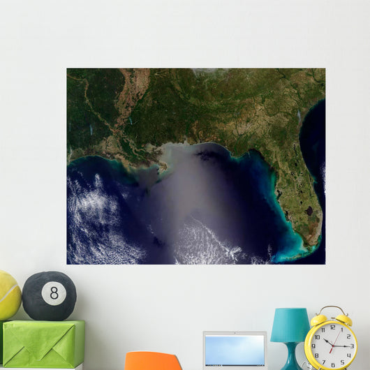 Satellite Southeastern United States Wall Decal