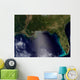 Satellite Southeastern United States Wall Decal