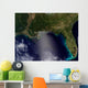 Satellite Southeastern United States Wall Decal