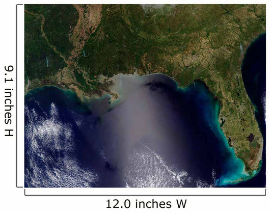 Satellite Southeastern United States Wall Decal