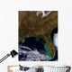 Southeastern United States Wall Decal