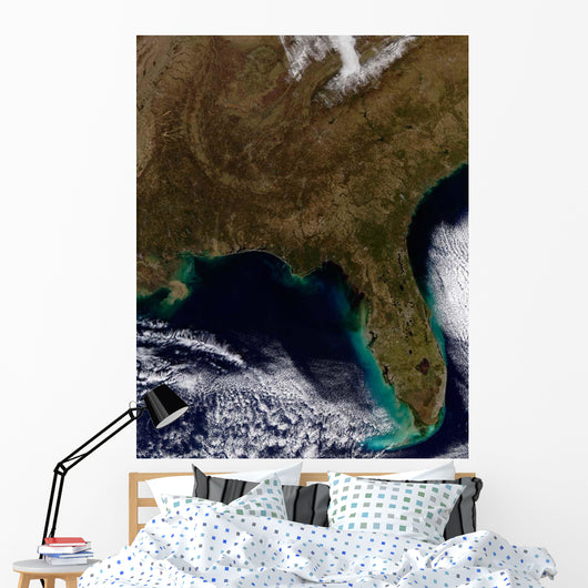 Southeastern United States Wall Decal