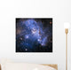 Small Magellanic Cloud Wall Decal