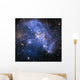 Small Magellanic Cloud Wall Decal