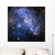Small Magellanic Cloud Wall Decal