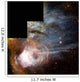 Nebula Known as N44c Wall Decal