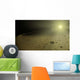 Artist's Concept Distant Hypothetical Wall Decal