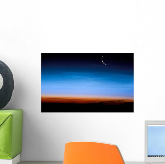 This Image Shows Limb Wall Decal