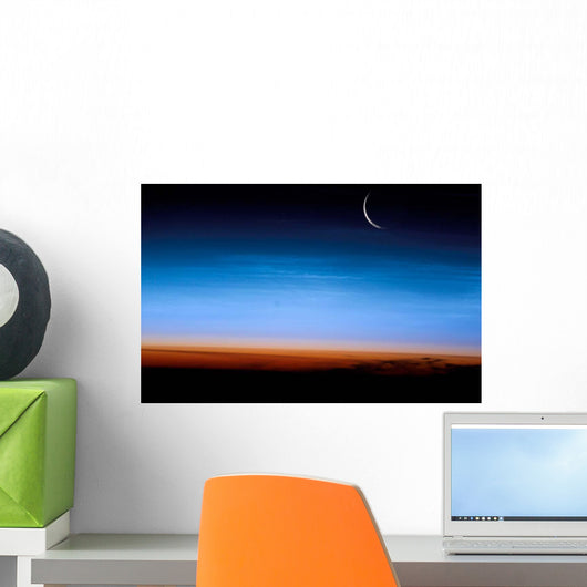 This Image Shows Limb Wall Decal