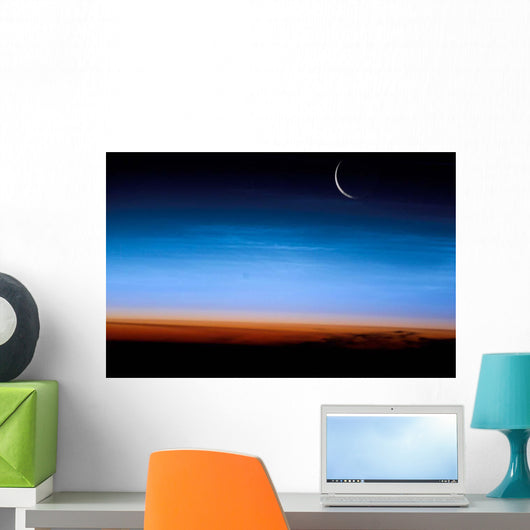 This Image Shows Limb Wall Decal