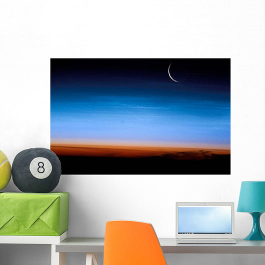 This Image Shows Limb Wall Decal