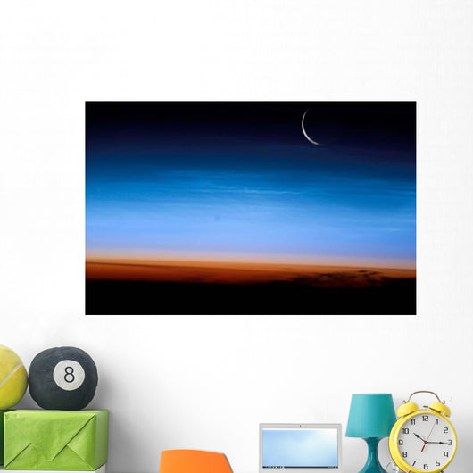 This Image Shows Limb Wall Decal