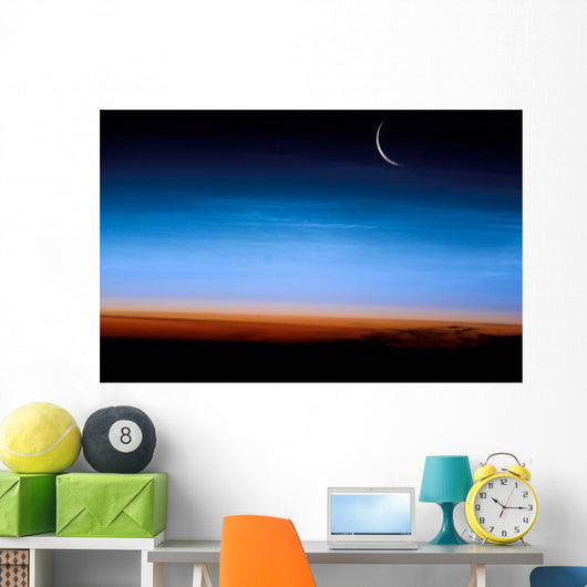 This Image Shows Limb Wall Decal