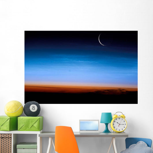 This Image Shows Limb Wall Decal