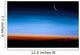 This Image Shows Limb Wall Decal