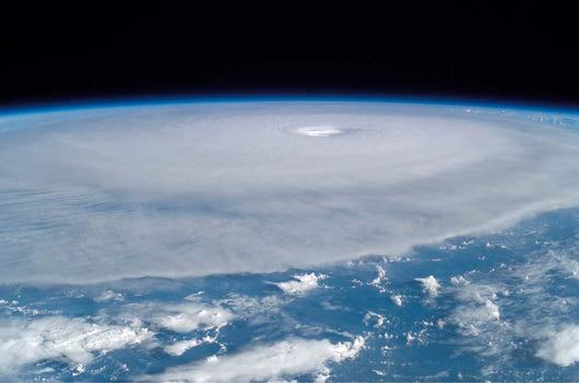 Hurricane Isabel Wall Decal Design 2