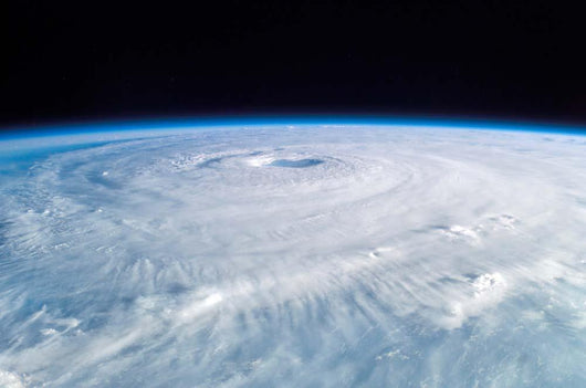 Hurricane Isabel Wall Decal Design 4