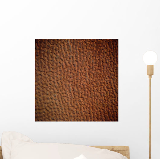Satellite Sand Dunes Libya Wall Decal