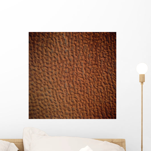 Satellite Sand Dunes Libya Wall Decal